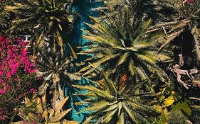 Flamingo Hotel&Spa - Pet Friendly